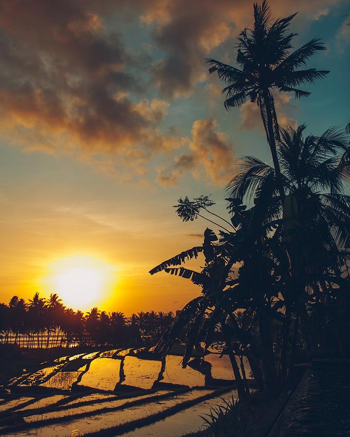 The Mayana Beach House Selemadeg  ภายนอก รูปภาพ